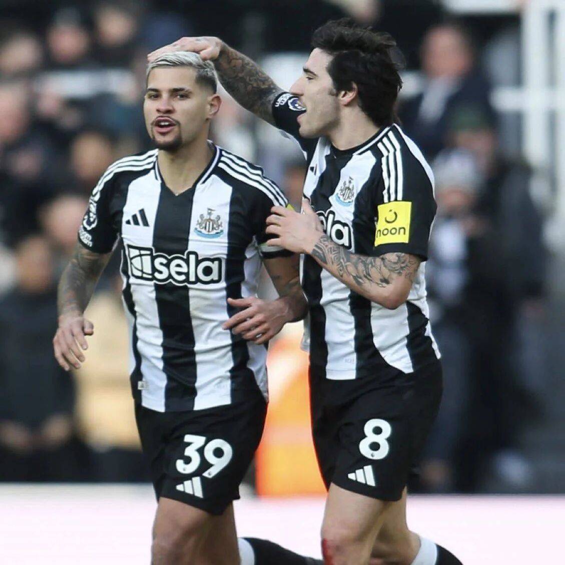 曝曼联买托纳利心理价位,高于7000万或放弃!签吉马良斯有一隐患